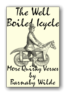 The Well  Boiled Icycle More Quirky Verses  by  Barnaby Wilde
